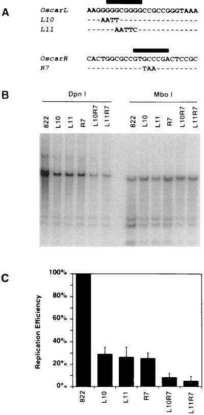 FIG. 8