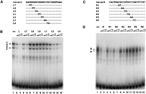 FIG. 6