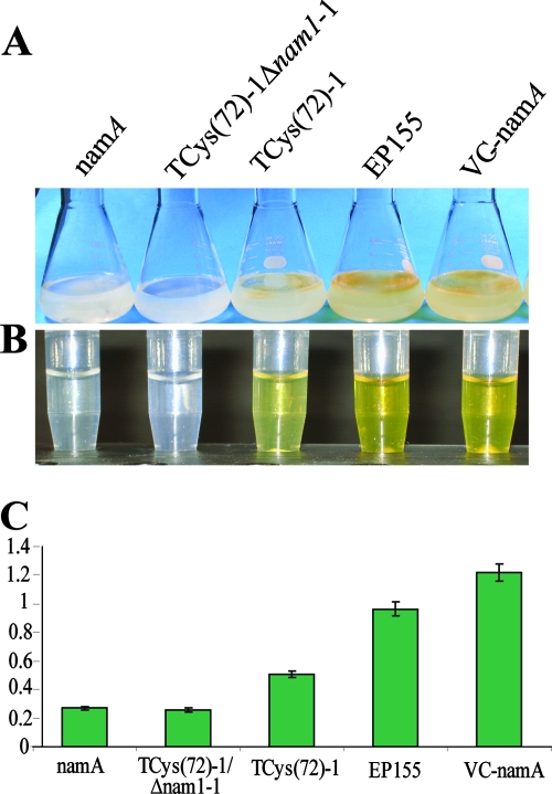 FIG. 8.