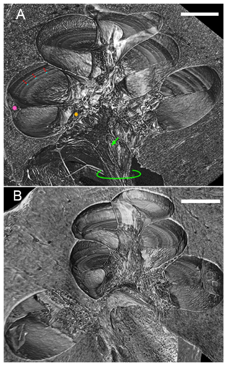 Fig. 3