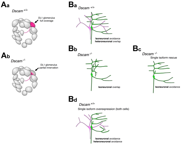 Fig. 6.