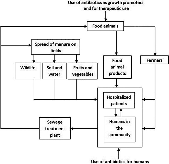 FIG 1