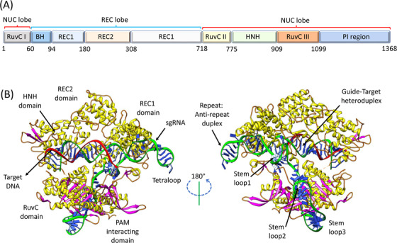 FIGURE 1