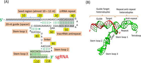 FIGURE 3