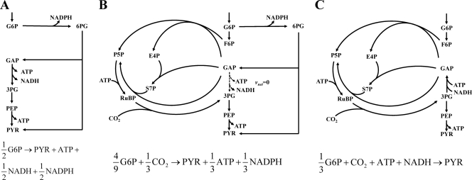 Fig 5