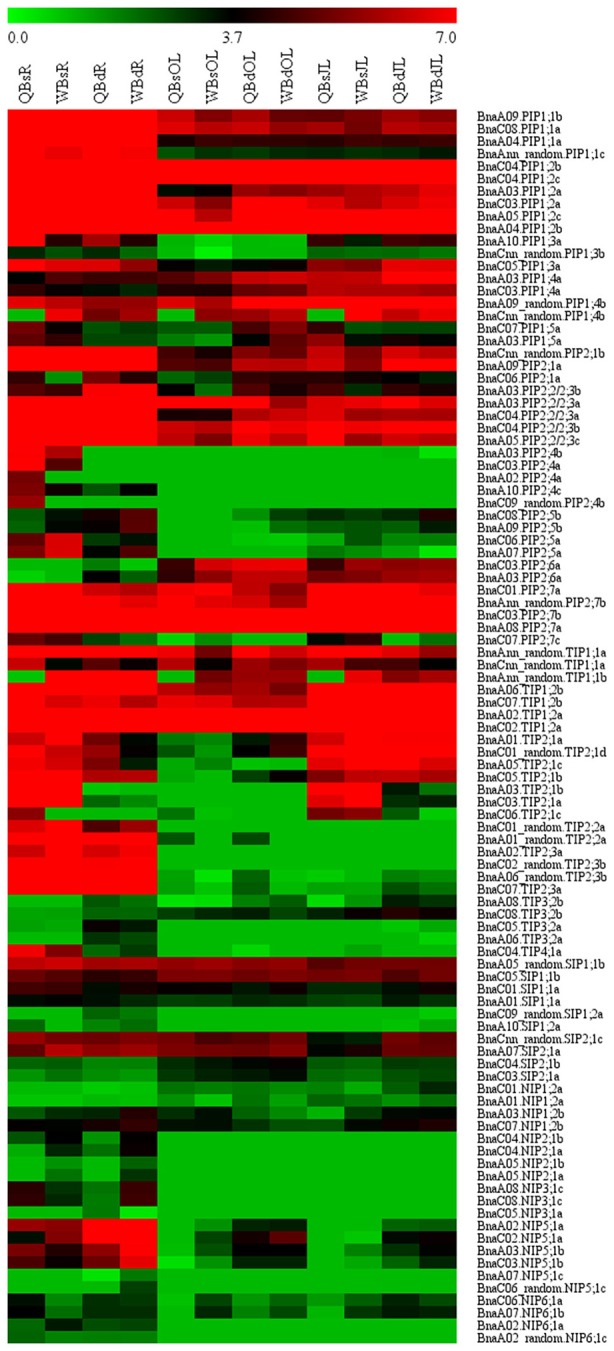 Figure 5