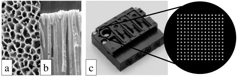 FIG. 1.