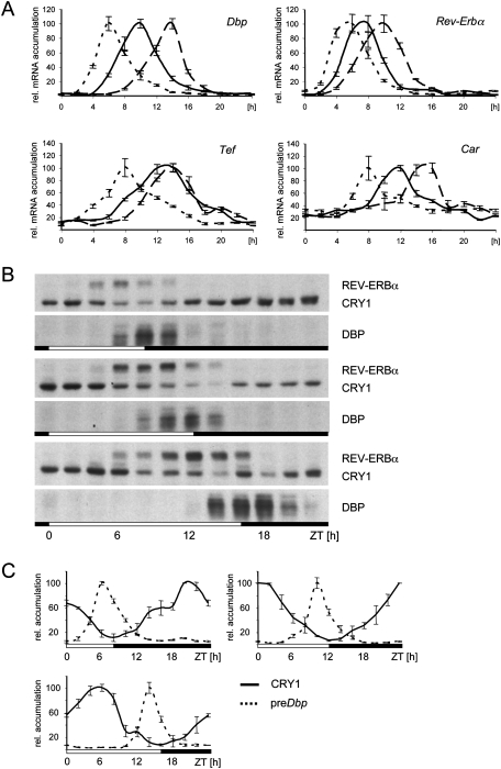 Figure 6.