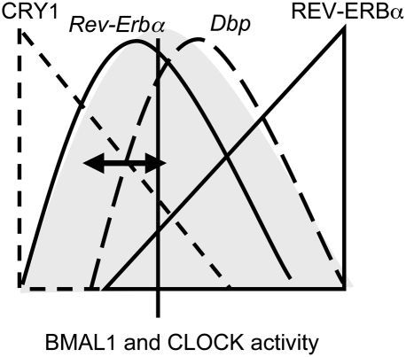 Figure 7.