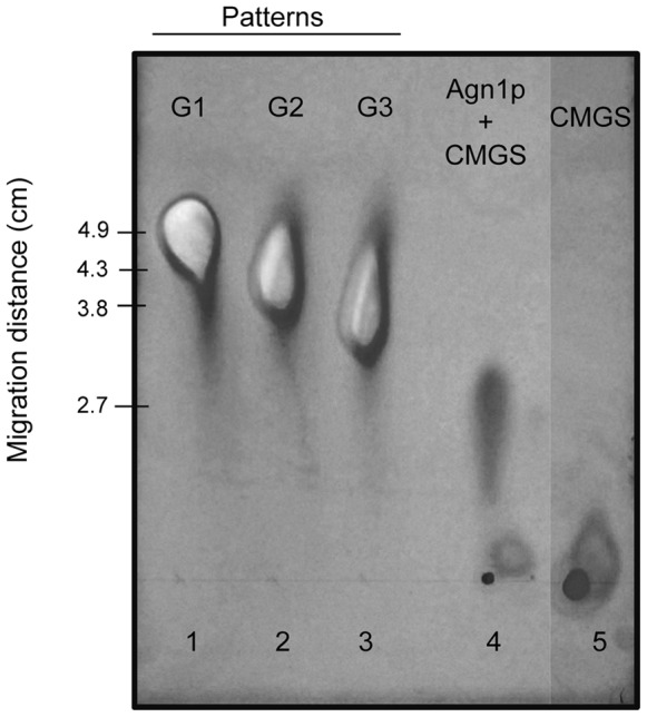 Figure 5