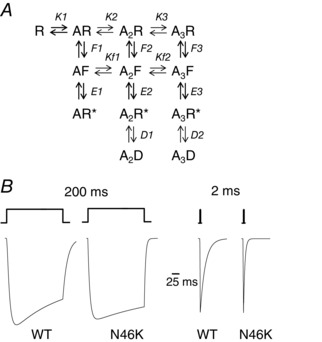 Figure 8