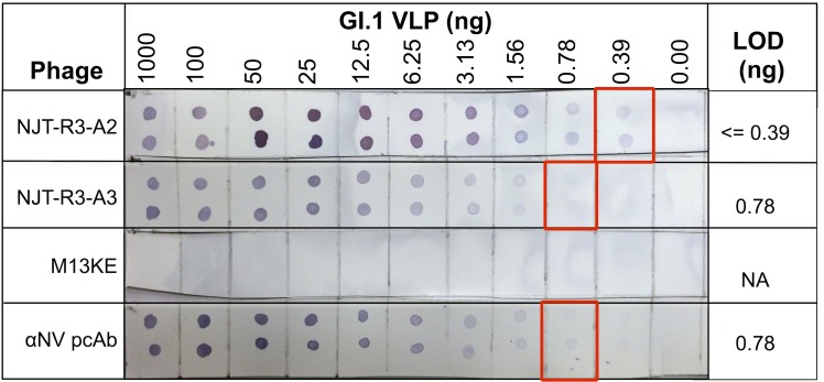 Fig 6