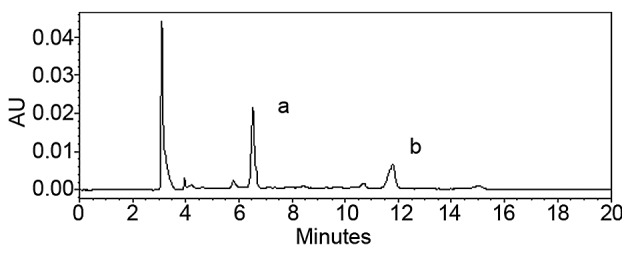 Figure 2.