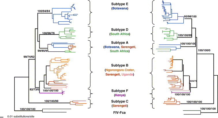 Fig. 7