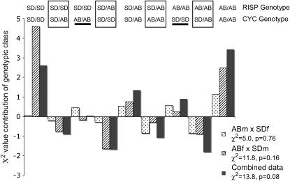 Figure 4.—