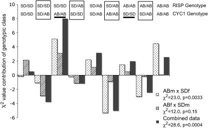 Figure 3.—