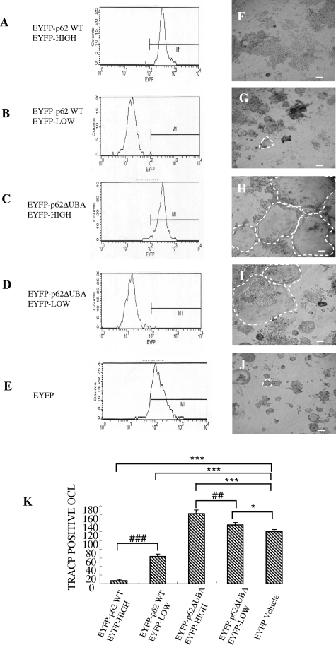 Figure 4-6923