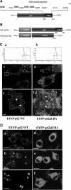 Figure 1-6923