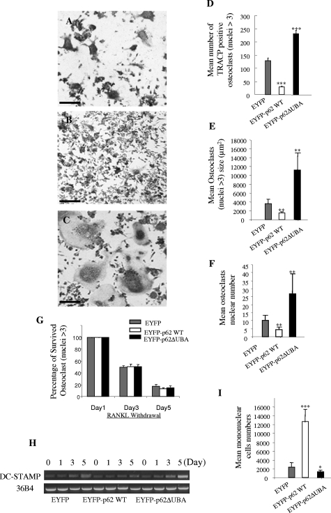 Figure 2-6923