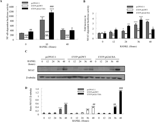 Figure 5-6923