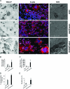 Figure 3-6923