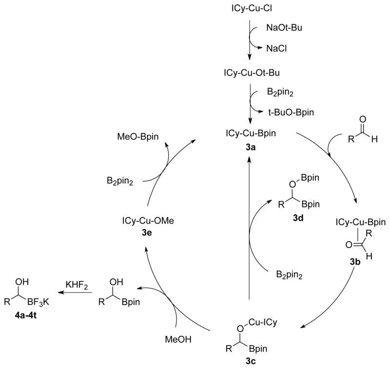 Scheme 2