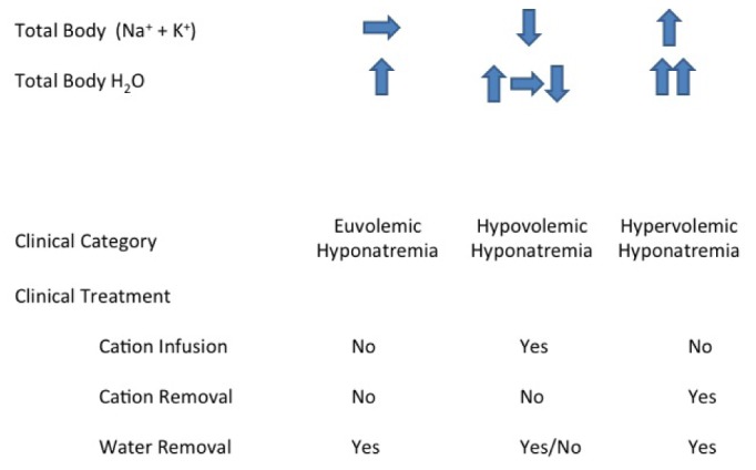 Figure 1 —