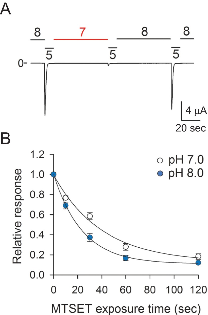 FIGURE 9.