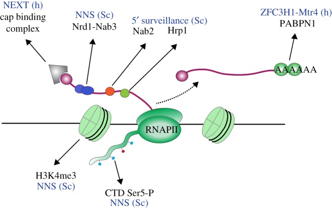 Figure 3.