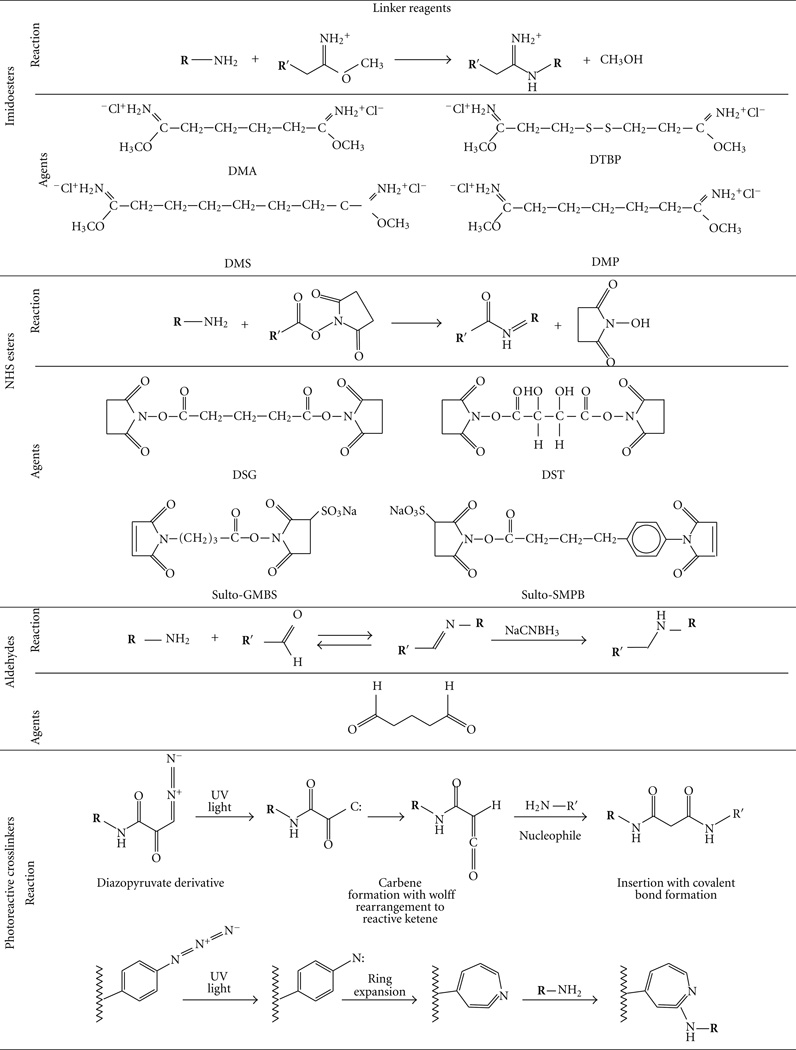 graphic file with name nihms359776t1a.jpg