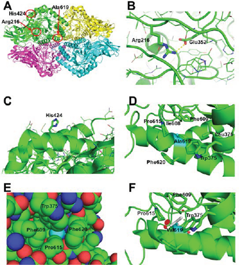 Figure 5.