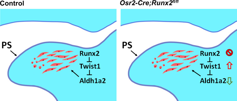 Figure 6—figure supplement 1.