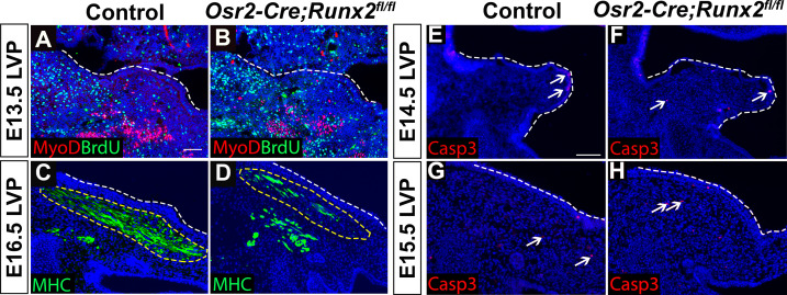 Figure 4—figure supplement 1.