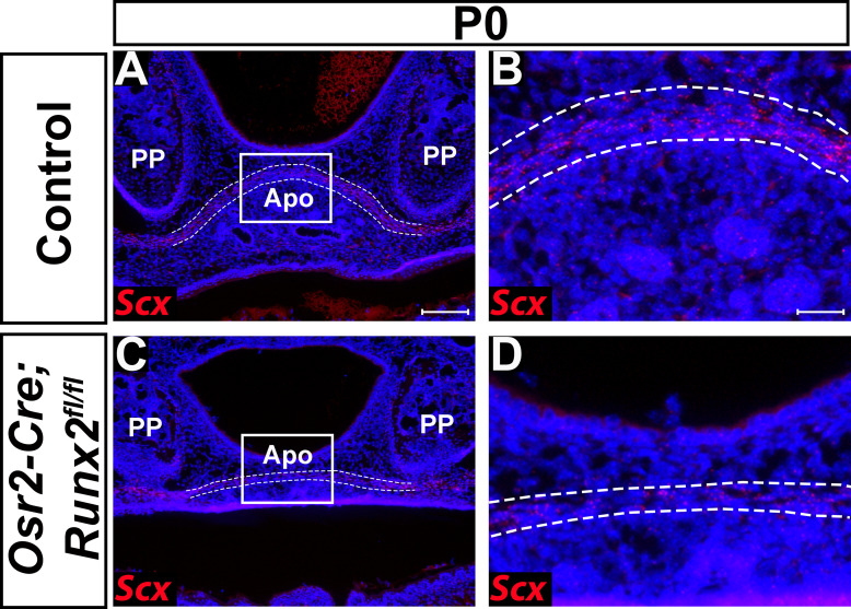 Figure 3—figure supplement 4.