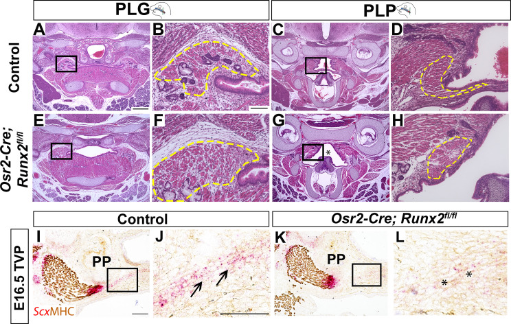 Figure 3—figure supplement 3.