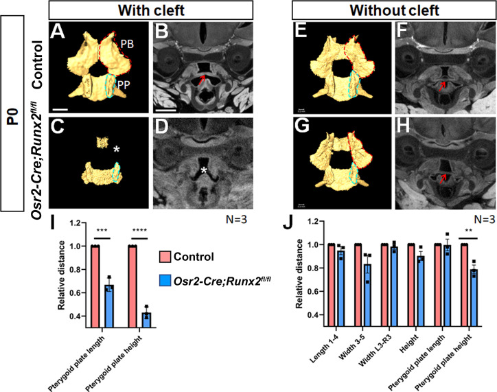 Figure 3—figure supplement 2.