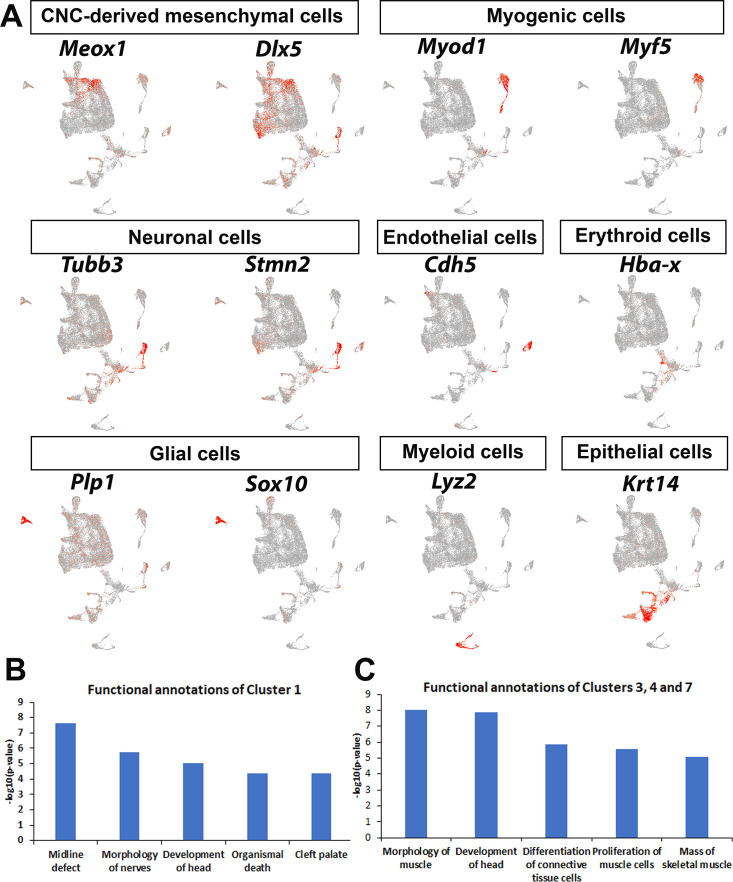 Figure 1—figure supplement 1.