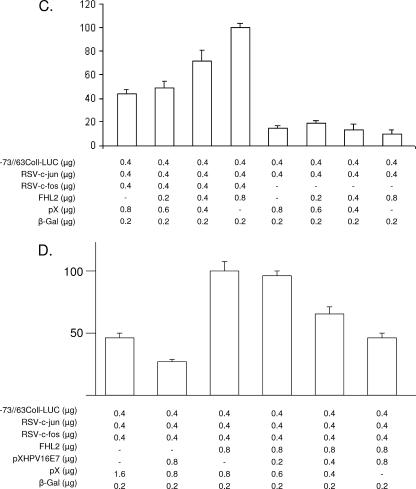 FIG.3.