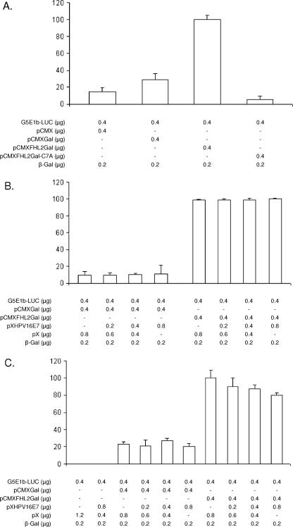 FIG. 2.