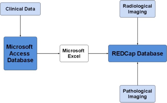 Figure 1