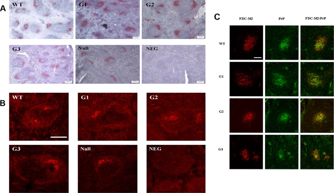 FIG. 6.