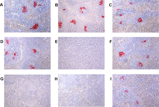 FIG. 7.