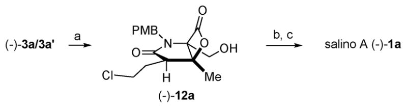 Scheme 2