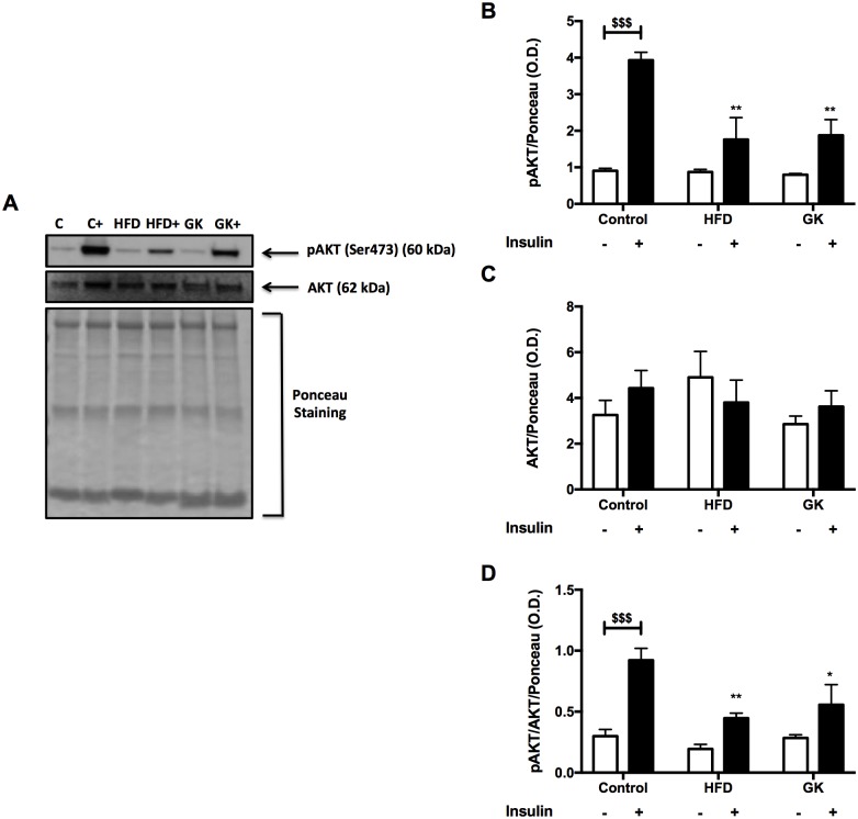 Fig 9