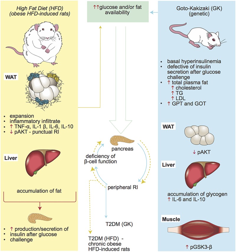 Fig 15