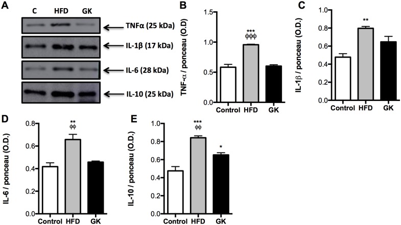 Fig 13