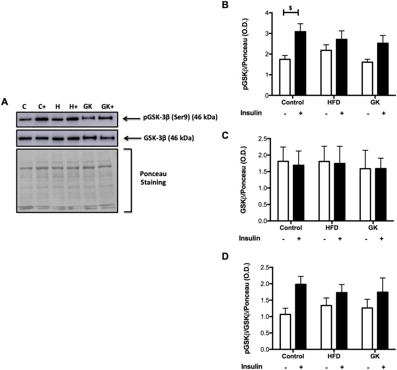 Fig 10