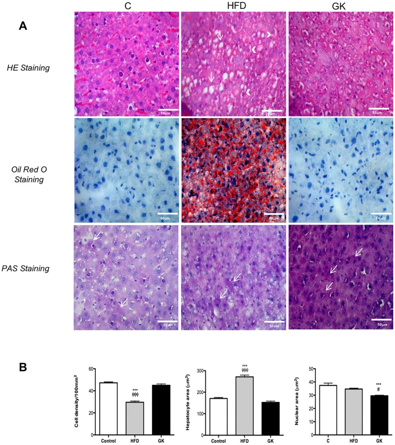 Fig 12