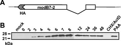 FIG. 5.