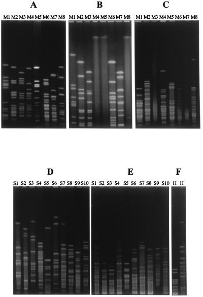 FIG. 1